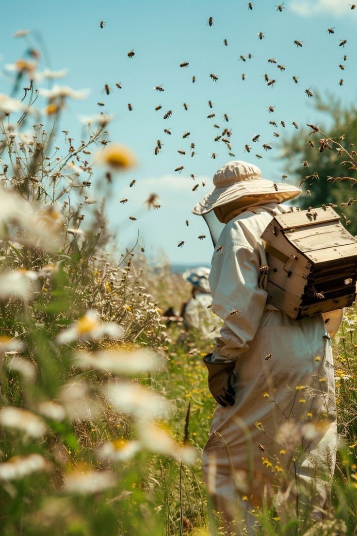 Beekeeper working with hives near Kud meadows close to Patnitop