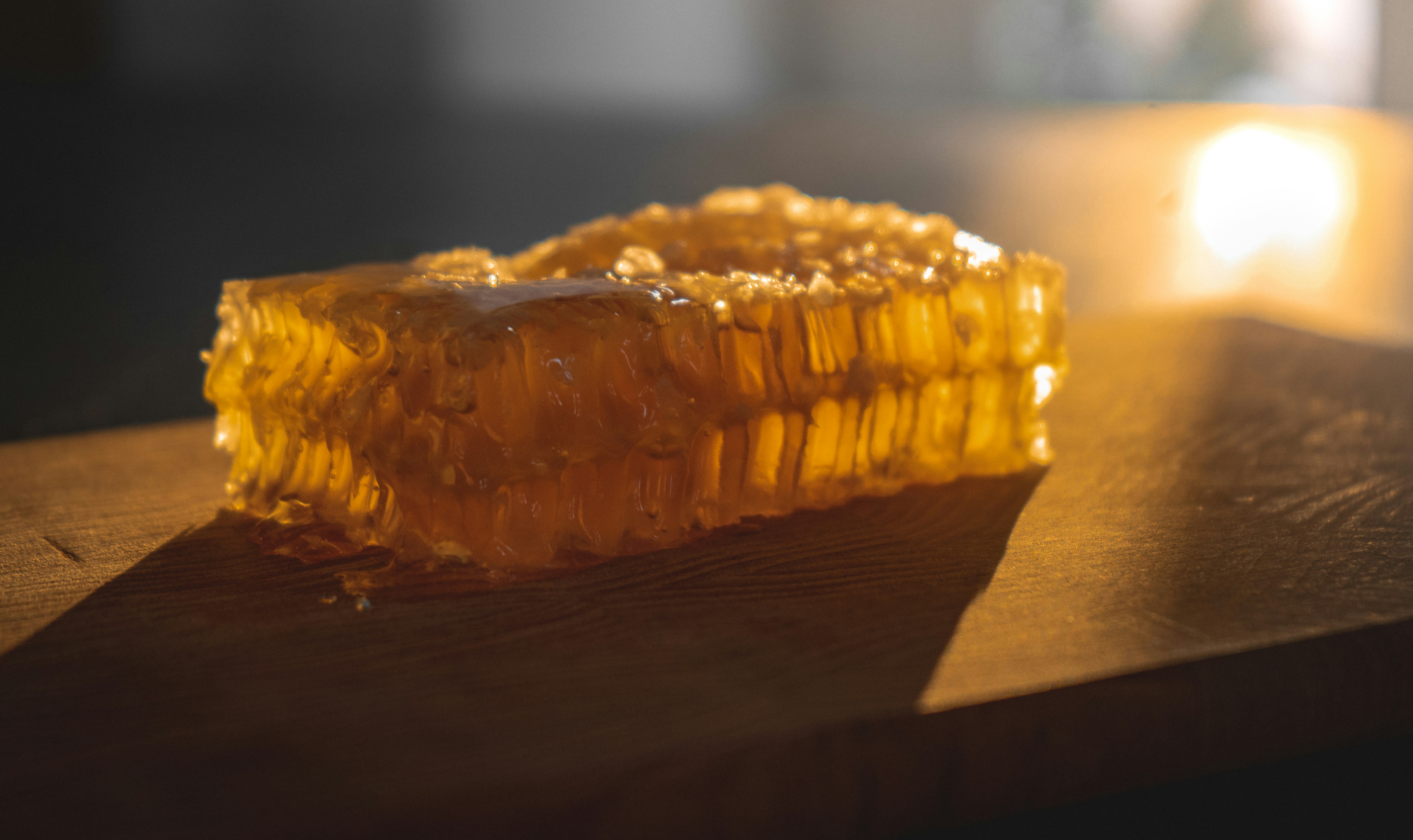 Close-up of golden honeycomb cells glistening with nectar