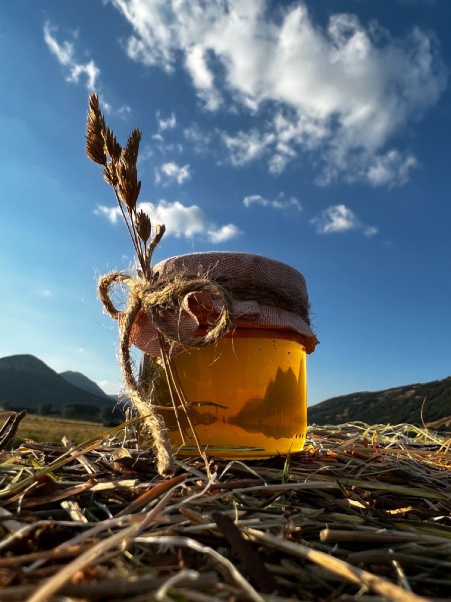 Bhaderwah honey jar glowing in Jammu & Kashmir sunlight